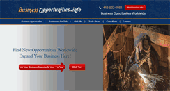 Desktop Screenshot of businessopportunities.info